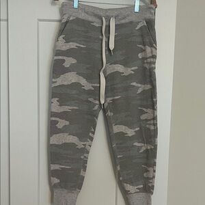 Aerie Cozy Tan Joggers